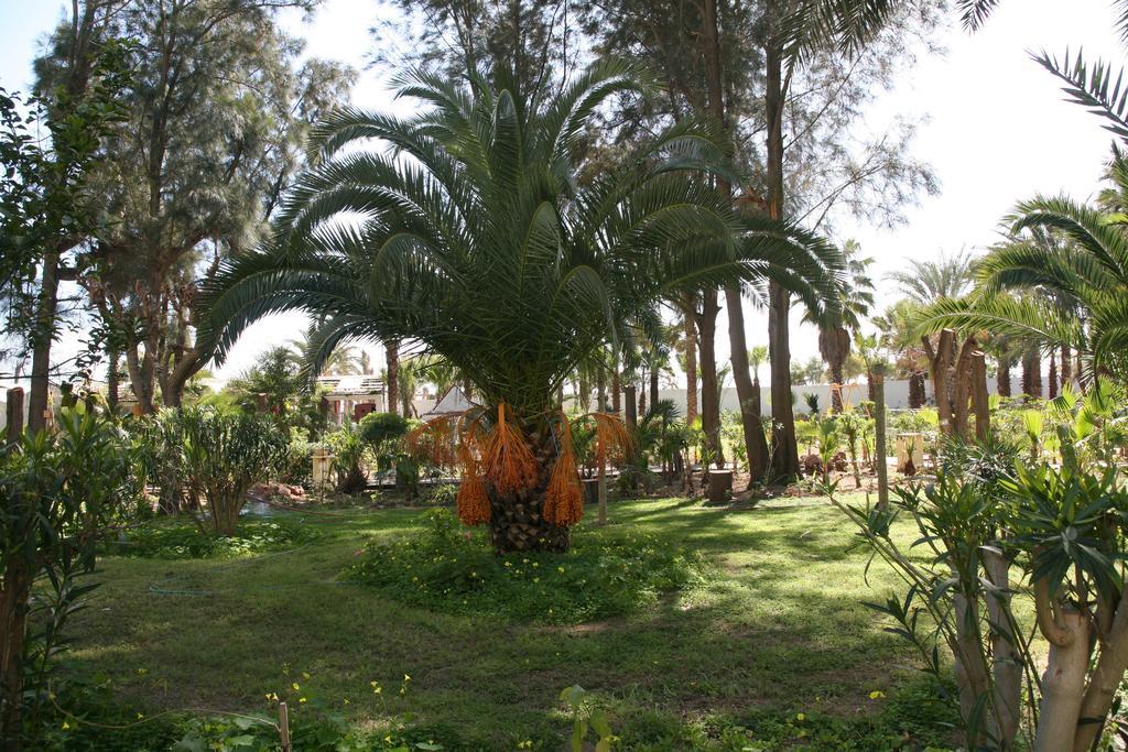 Hammamet Regency Hotel Екстериор снимка